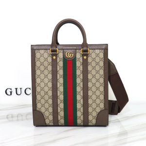 BO – Luxury Bag GCI 483