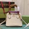 BO – Luxury Bag GCI 480