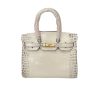 H BIRKIN 30 CROCODILE HIMALAYA GOLD HARDWARE 30CM